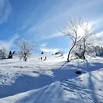 Pistenblume - Skipiste, Stadtzentrum アパート