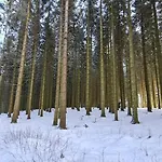 Pistenblume - Skipiste, Stadtzentrum アパート *