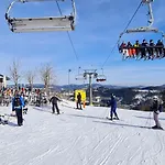 Pistenblume - Skipiste, Stadtzentrum *