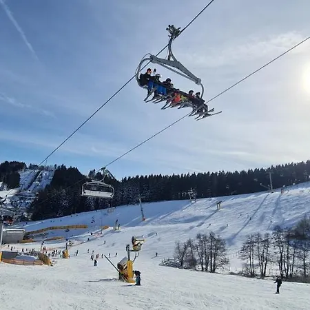 Pistenblume - Skipiste, Stadtzentrum Winterberg