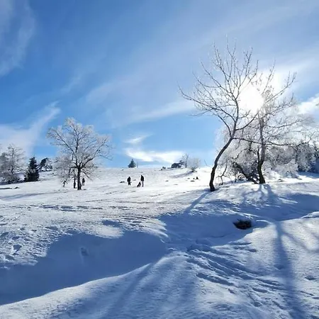 Pistenblume - Skipiste, Stadtzentrum 아파트