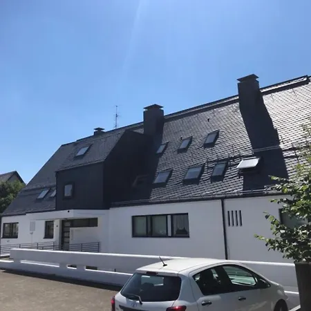 Pistenblume - Skipiste, Stadtzentrum * Winterberg