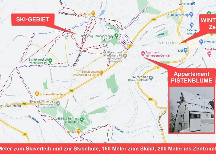 Pistenblume - Skipiste, Stadtzentrum Daire Winterberg