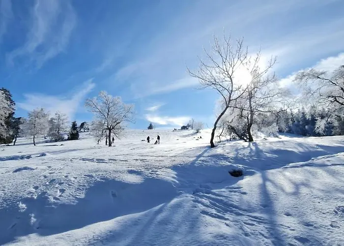 Pistenblume - Skipiste, Stadtzentrum Daire