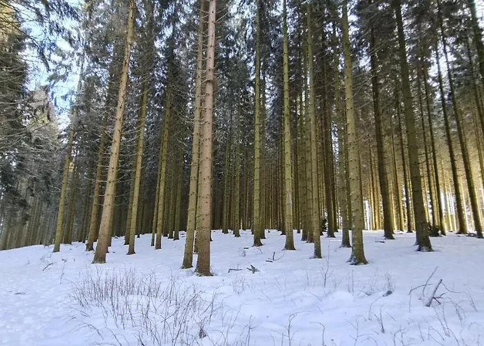 Pistenblume - Skipiste, Stadtzentrum Apartament *