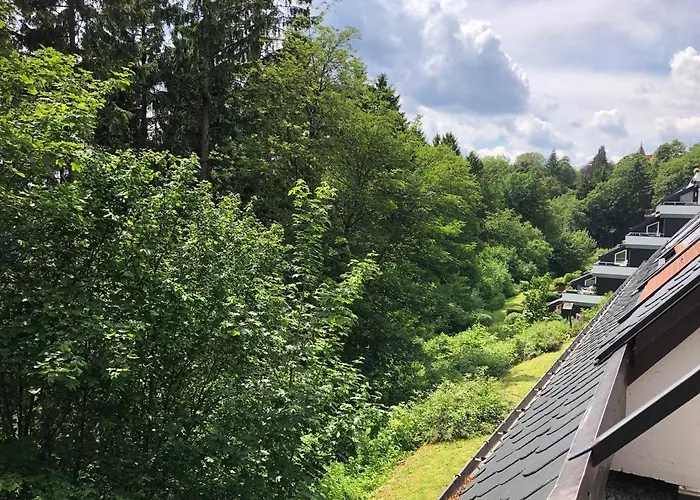 Pistenblume - Skipiste, Stadtzentrum