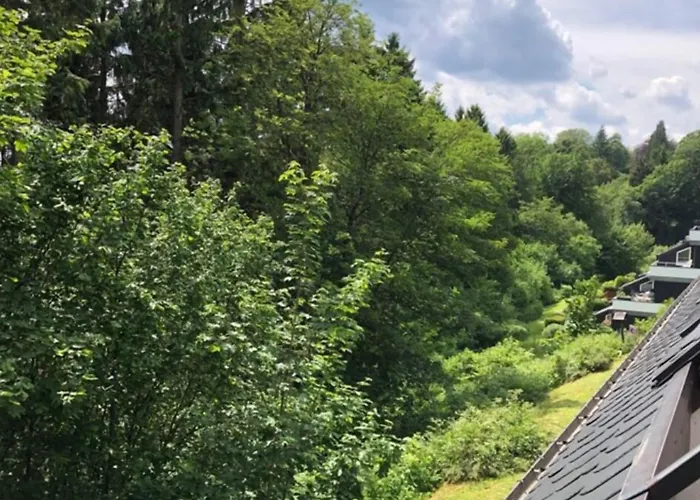 Pistenblume - Skipiste, Stadtzentrum Winterberg